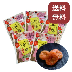 やわらか干し梅 種抜き 17g×5
